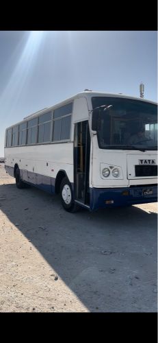 TA TA bus for sale istimara 9 mon