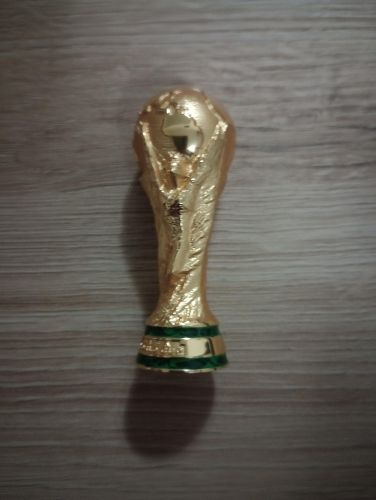 FIFA cup