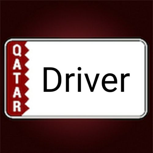 Driver needed for a small family