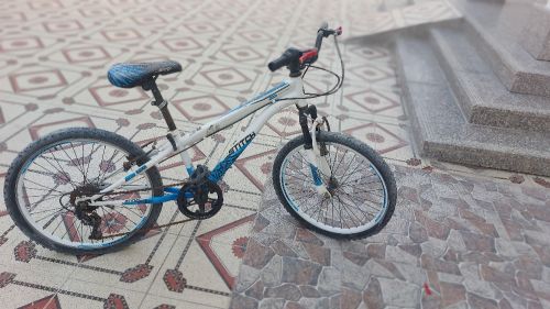 For sale bicycle for adults