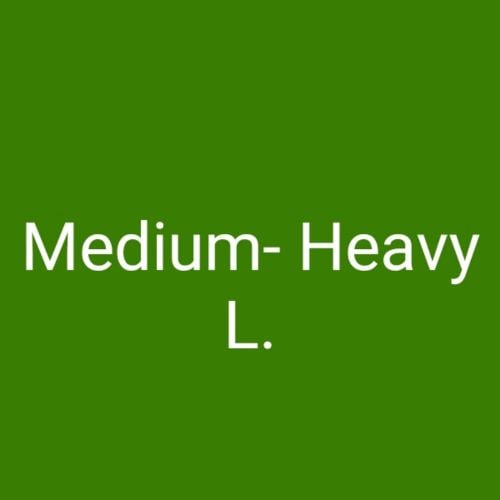 Driver Medium/Heavy License