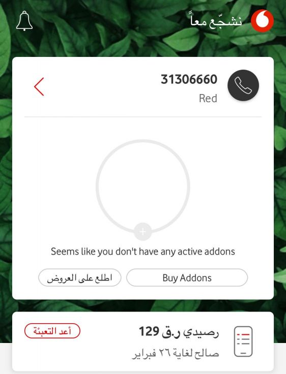 Vodafone Number 31306660