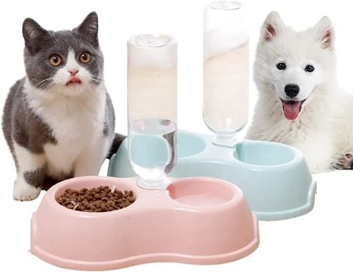 cat and dog bowls with feeder