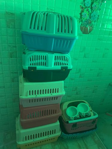 Cat Cage and Accessories 