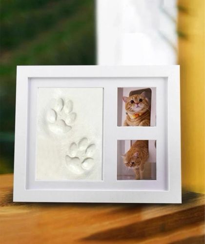 memory photo frame (paw, hands) 
