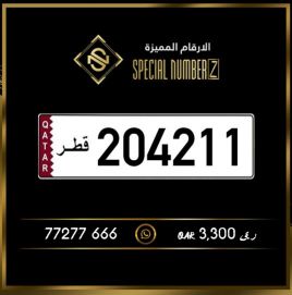 Special NumberZ 204211
