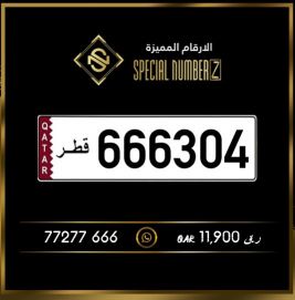Special NumberZ 666304
