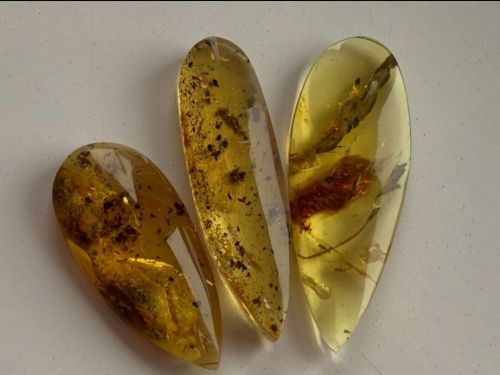 natural Baltic amber