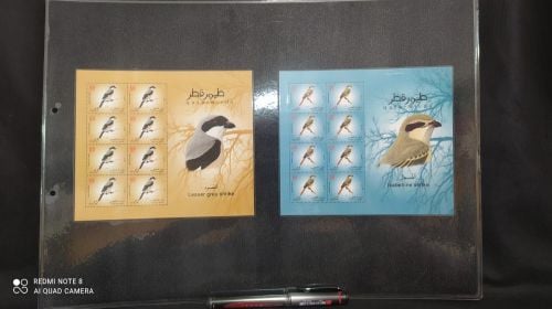 طوابع طيور قطر