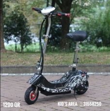 Electic 2 wheel scooter