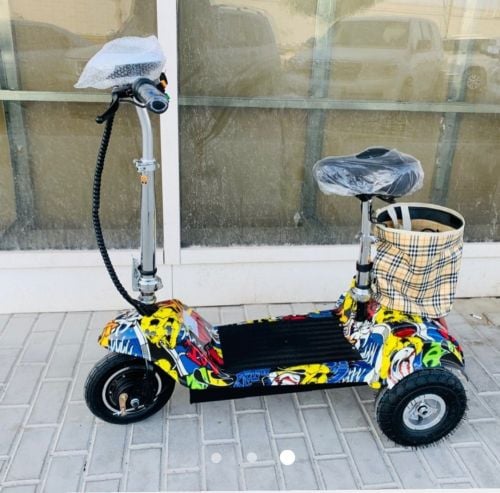 Electic scooter 