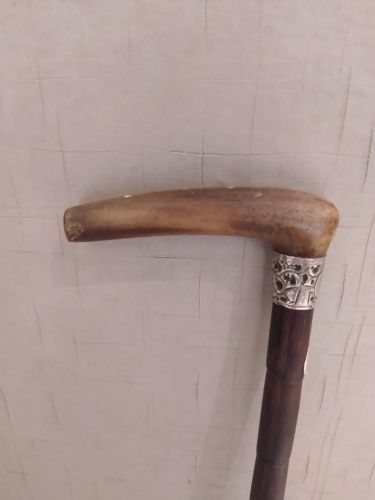 عصا قديمة خشب بامبو