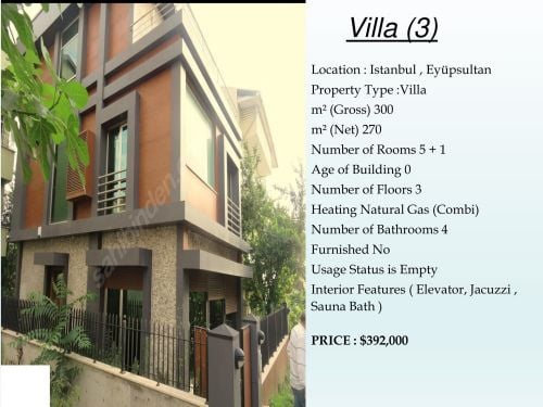Villa for sale in Istanbul 