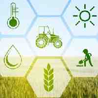 Agriculture خدمات زراعية